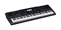 CASIO WK-6600  синтезатор с автоаккомпанементом, 76 клавиш, 48-голосная полифония, 700 тембров, 210 стилей