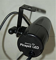 American DJ Pinspot LED светодиодный прожектор