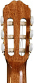 TAKAMINE GC5 NAT классическая гитара, топ из массива ели, цвет натуральный