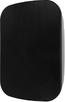 SVS Audiotechnik PAF-5B PRO настенная акустическая система, IP65, цвет черный