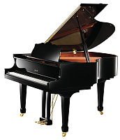 Ritmuller R9 IQ A111 Комбинированный рояль со встроенным автоаккомпанементом, серия Intelligent, цвет черный