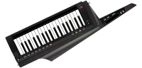 KORG RK100S-2 BK программируемый аналоговый синтезатор-клавитара