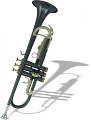 ROY BENSON TR-101К Bb труба (цвет черный-золото)