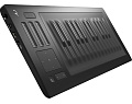 ROLI RISE 25  миди-клавиатура, 25 клавиш, цвет черный