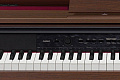 CASIO Celviano AP-460BN, цифровое фортепиано, 88 клавиш, цвет коричневый