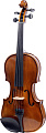 GEWAPure Violin Outfit EW 4/4 скрипка в комплекте (футляр, смычок, канифоль, подбородник)