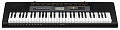 Casio CTK-2500   синтезатор с автоаккомпанементом, 61 клавиша, 48-голосная полифония, 400 тембров