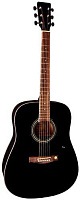 VGS D10 Dreadnought Black гитара акустическая, цвет черный