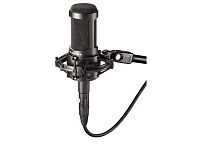Audio-Technica AT2050  Микрофон студийный конденсаторный