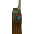 GREG BENNETT GD50T OPN акустическая гитара, цвет натуральный