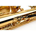 RICO SJA12 Ремень для саксофона (гайтан) - Alto/Soprano, цвет черный, на подкладке, с металическим держателем