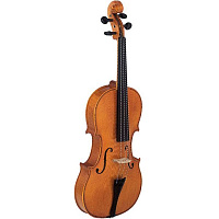 Strunal 920 1/8 Скрипка студенческая, уменьшенный вариант 1/8