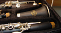 ROY BENSON CB-317 Bb кларнет (французская система 17 клапанов,6 колец)
