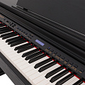 ROCKDALE Fantasia 128 Graded Black цифровое пианино, 88 клавиш, цвет черный