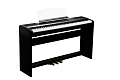 Ringway RP-60 BLK Цифровое пианино, цвет черный