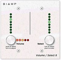BIAMP 2G Package Двойная накладная коробка для Volume/Select 8
