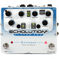 PIGTRONIX E2F Echolution 2 Filter Pro Delay эффект гитарный, дилэй