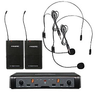 Pasgao PAW266/PBT-172/PH90 655-679MHz  2-канальная радиосистема с двумя головными микрофонами