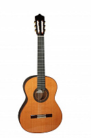 PEREZ 640 Cedar  классическая гитара, верх-Solid канадский кедр, корпус- индийский палисандр