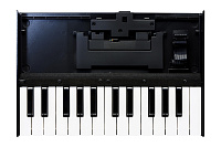 ROLAND K-25m 25-клавишная, чувствительная к нажатию клавиатура