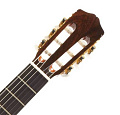 CORDOBA IBERIA C5-CETCD классическая гитара, топ канадский кедр, дека махагони, тонкий профиль деки, тембр блок Fishman Isys+, цвет натуральный, обработка глянец