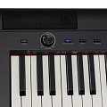 ROCKDALE NOCTURNE S 256 BK цифровое пианино