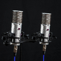 Aston Microphones SPIRIT STEREO PAIR стереопара конденсаторных микрофонов