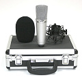 INVOTONE SM150B  студийный Pro микрофон конденсаторный, -10дБ, фильтр НЧ, ветрозащита, паук, кейс
