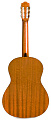 CORDOBA PROTÉGÉ C1 классическая гитара, топ ель, дека махагони, цвет натуральный, отделка глянец