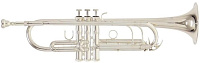 ROY BENSON TR-403S Bb труба