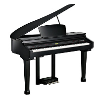 KURZWEIL KAG100 EP цифровой рояль, цвет черный