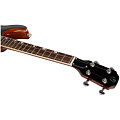 FLIGHT Vanguard Tenor TBK Электроукулеле тенор