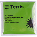 TERRIS TD-041 BK Starter Pack Гитара акустическая в наборе