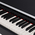 ROCKDALE VIRTUOSO 256 BK цифровое пианино, цвет черный