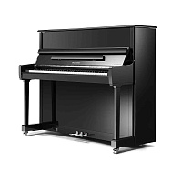 Ritmuller RS114 (A111) пианино, цвет черный полированный