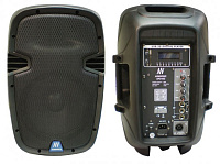 AudioVoice AP210D 2-полосная активная акустическая система, 250Вт