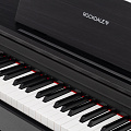 ROCKDALE Sonata Black цифровое пианино, цвет черный