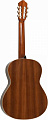 PEREZ 620 Cedar LTD 2019 классическая гитара, верх кедр, корпус махагон