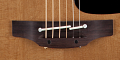TAKAMINE PRO SERIES 1 P1NC электроакустическая гитара типа NEX CUTAWAY с кейсом, цвет натуральный
