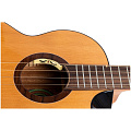 FLIGHT LILY Baritone EQ-A Укулеле баритон