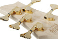 Schecter OMEN EXTREME-5 GNAT Бас-гитара, 5 струн, цвет Gloss Natural