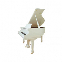 Samick NSG175/WHHP   рояль в комплекте со стулом BN-42, 103x148x175, 318 кг, цвет белый полированный