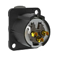 Seetronic MK3F2C-BG-SP Панельный разъем XLR, 3-контактный, "мама"