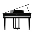 KAWAI DG30 EP цифровое пианино 