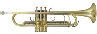 ROY BENSON TR-402 Bb труба, цвет золото