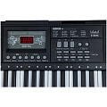 TERRIS TK-250 BK Синтезатор