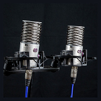 Aston Microphones ORIGIN STEREO PAIR стереопара конденсаторных микрофонов