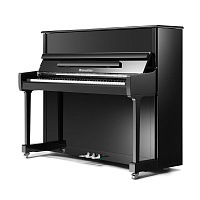 Ritmuller RS118 (A111) пианино, цвет черный полированный