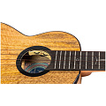 FLIGHT SONGBIRD TENOR MANGO EQ-A Укулеле тенор