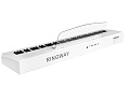 Ringway RP-60 WH Цифровое пианино, цвет белый